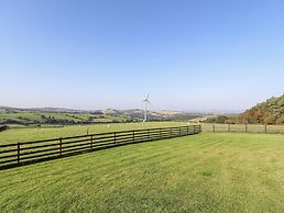 Rhosydd