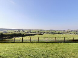 Rhosydd