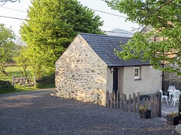 Cwt Mochyn