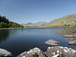 Cwt Mochyn