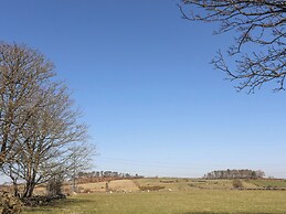 Cwt Mochyn