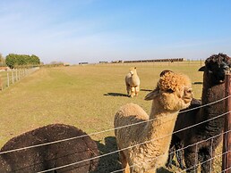 Alpaca Lodge