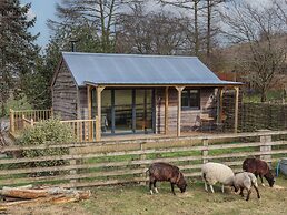 Beech Tree Cabin