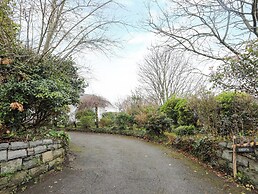 Rhedyn