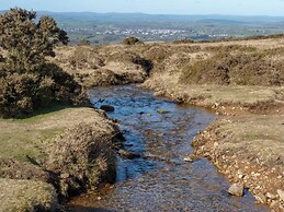37 Tamar