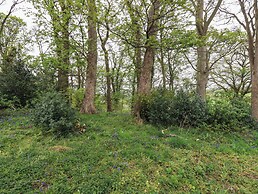 The Nest