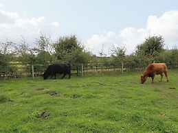 The Stable