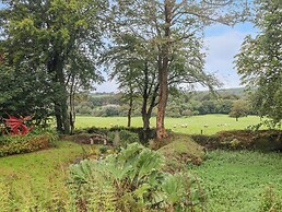 St Dogwells Barn