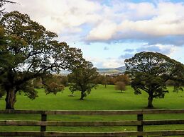Ballybeg Pod 5