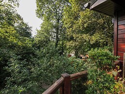 Tree House, Partial Lake Views Pet Friendly