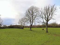 Ynys Uchaf