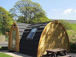 The Nest Pod
