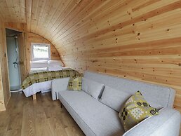 Dysynni Pod