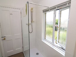 Camellia