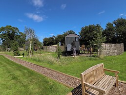 Limetree Luxury Glamping Portland