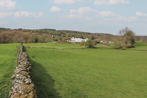 Chase View