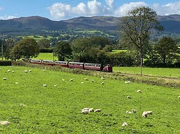Tremyfron