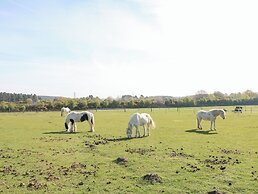 The Old Pump House