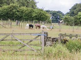 Woodland View