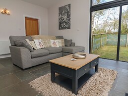 Silver Birch