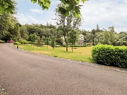 Deer Wood At Applethwaite Hall