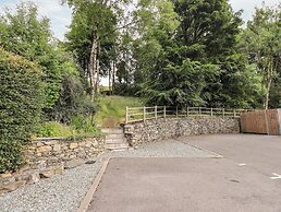 Deer Wood At Applethwaite Hall
