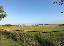 Studio in Wenduine Near the Beach