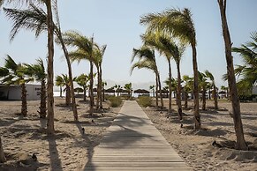 The Kaktus Somabay