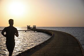 The Kaktus Somabay