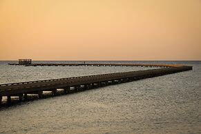 The Kaktus Somabay