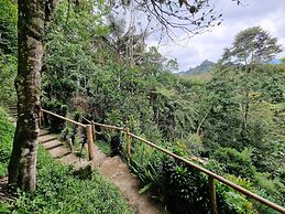 Casa Tien