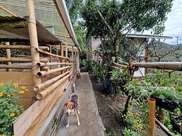 Casa Tien