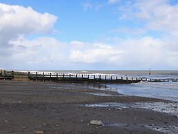 Driftwood