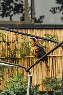 Eagle View Lodge