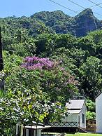 Heritage Guest House Levuka