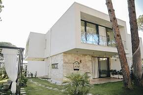 Parrot's Home