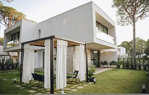 Parrot's Home