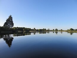 Shannon Vale