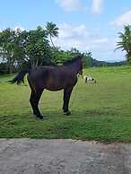 Suva Hideaway Villa