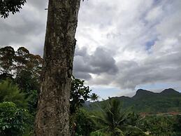 Suva Hideaway Villa