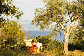 Petalidi Sunny Home One