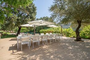 Son Simo Vell Pool & Vineyard Views