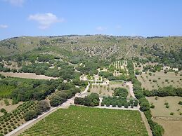 Son Simo Vell Pool & Vineyard Views