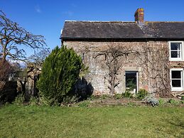 The Roost