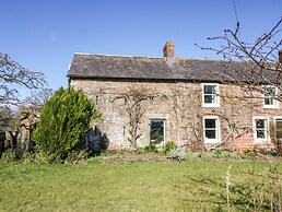 The Roost