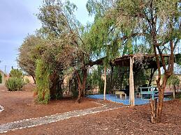 Riad Jardin des Orangers