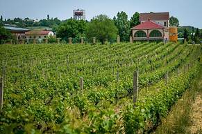 Winery Chabiant Hotel