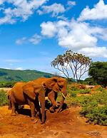 Soroi Samburu Lodge