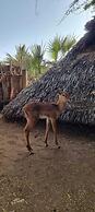 Soroi Samburu Lodge