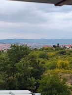 Konak Vukašinović